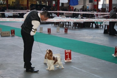 de Bettignies - Mouscron 2010